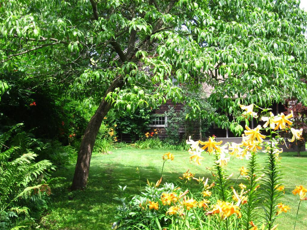 Baldwinsville Bed And Breakfast Exterior foto