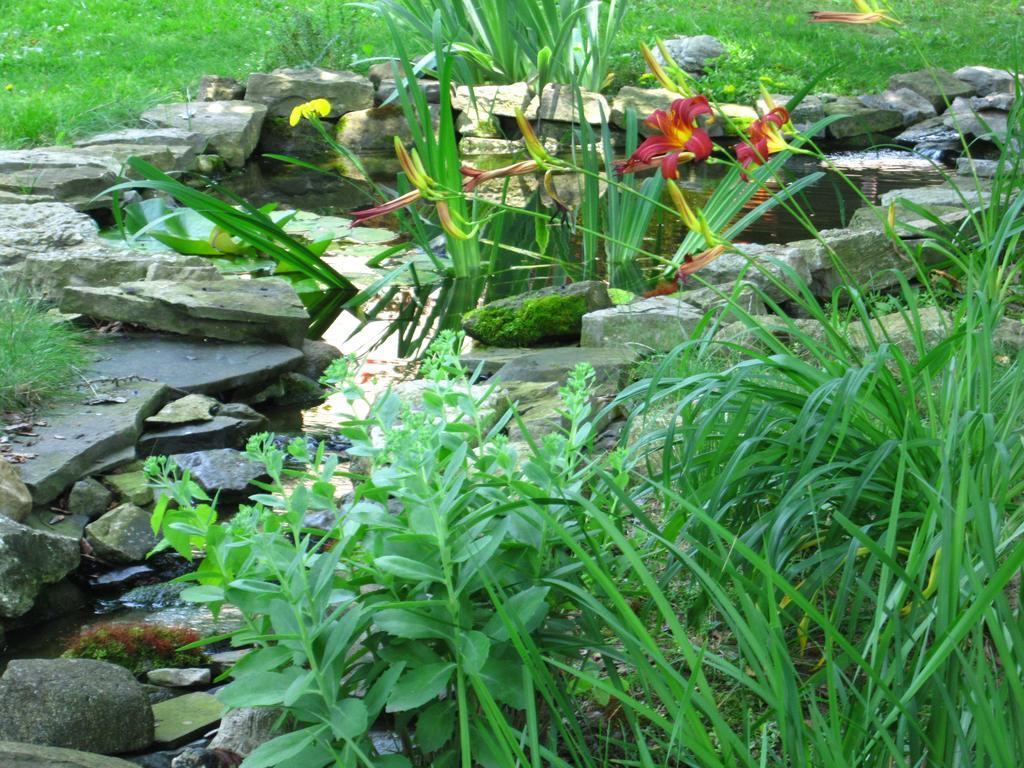 Baldwinsville Bed And Breakfast Exterior foto